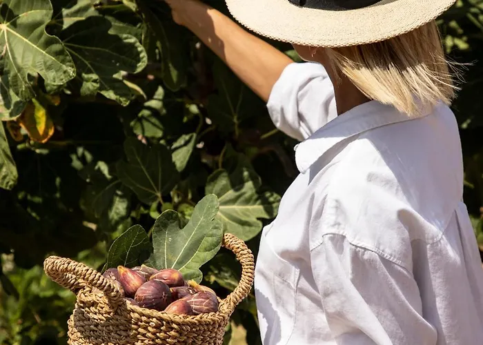 Villa Avertosia Luxury *