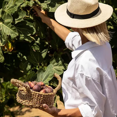 Vilă Avertosia Luxury *